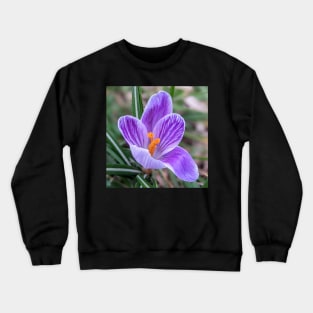 Purple, White and Orange Flower 5 Crewneck Sweatshirt